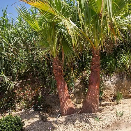 Barthelemy Ericeira Luxury *