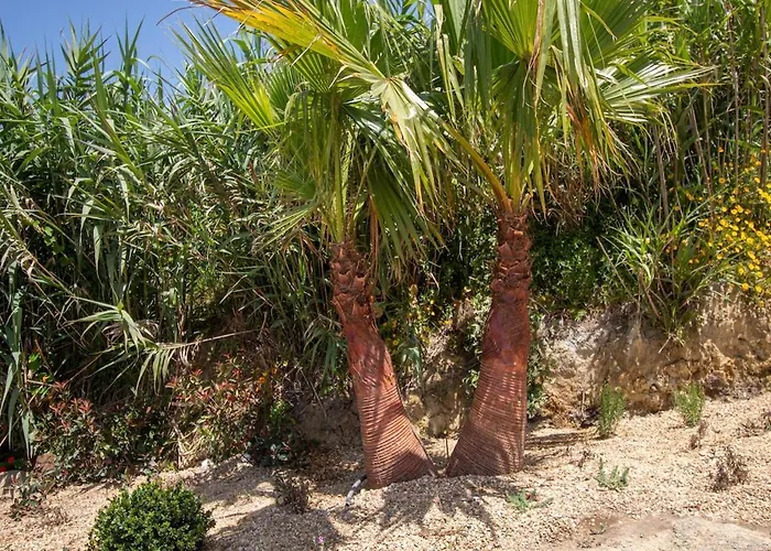 Barthelemy Ericeira Luxury *